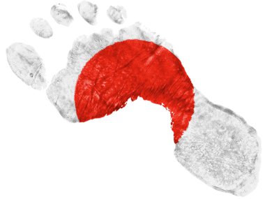 Japonya bayrağı