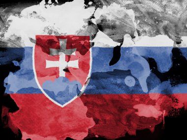 Slovakya bayrağı