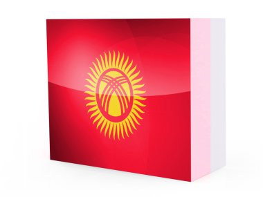 Kırgızistan bayrağı