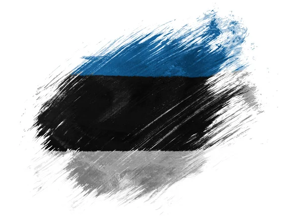 The Estonian flag — Stock Photo, Image