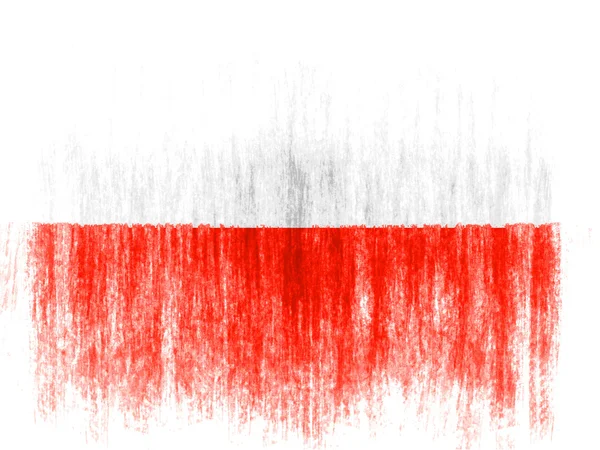 Den polska flaggan — Stockfoto