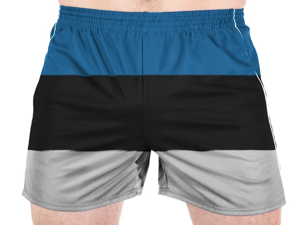 The Estonian flag — Stock Photo, Image