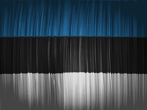 에스토니아 깃발 — 스톡 사진