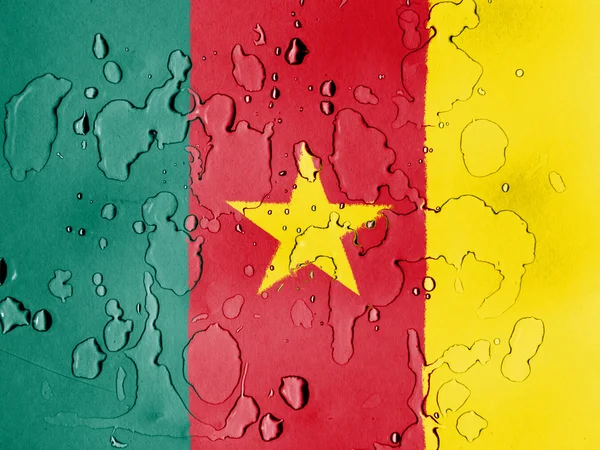 喀麦隆国旗 — 图库照片