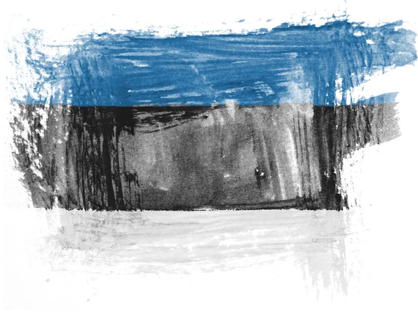 Den estniska flaggan — Stockfoto