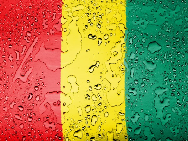 The Guinean flag — Stock Photo, Image