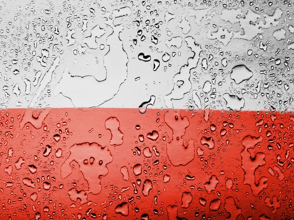 Le drapeau polonais — Photo