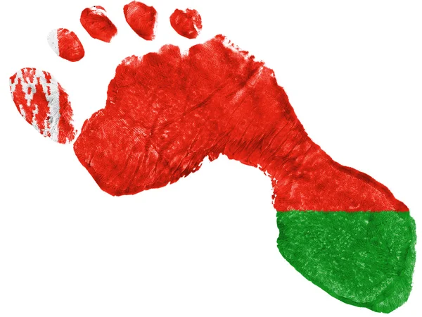 La bandera bielorrusa —  Fotos de Stock