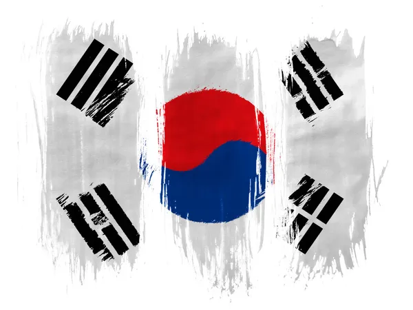 The South Korea flag — Stock Photo, Image