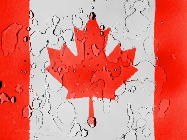 De Canadese vlag — Stockfoto
