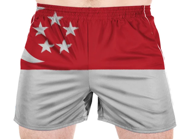 Singapore-flagget – stockfoto