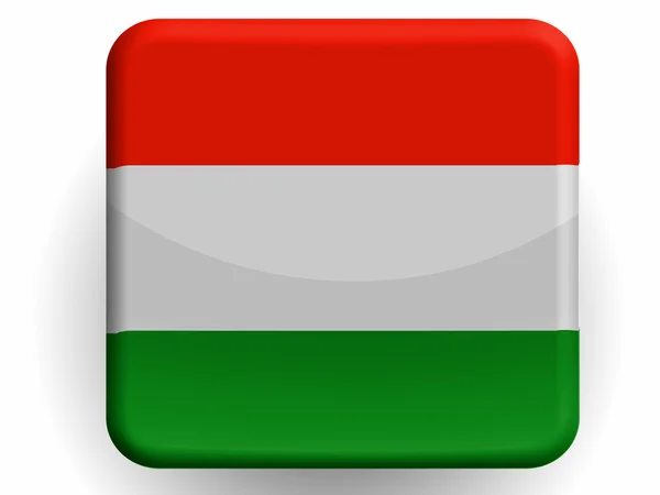 A magyar zászló — Stock Fotó
