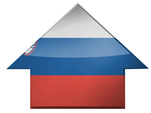 The Slovenia flag — Stock Photo, Image