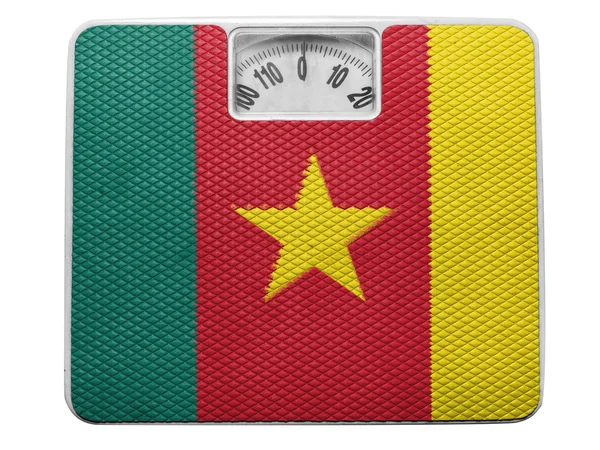 The Cameroonian flag — Stock Photo, Image