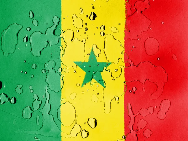 Die senegalesische Flagge — Stockfoto