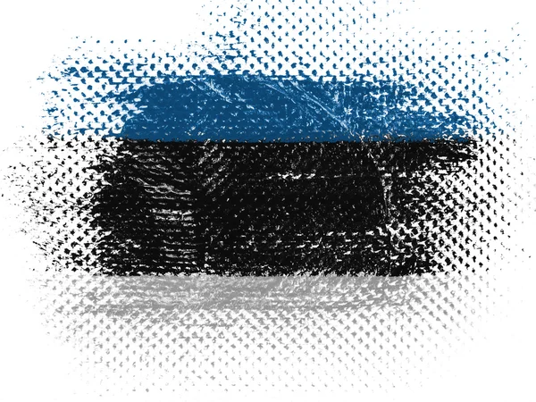 The Estonian flag — Stock Photo, Image