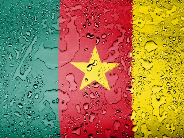 La bandera de Camerún —  Fotos de Stock