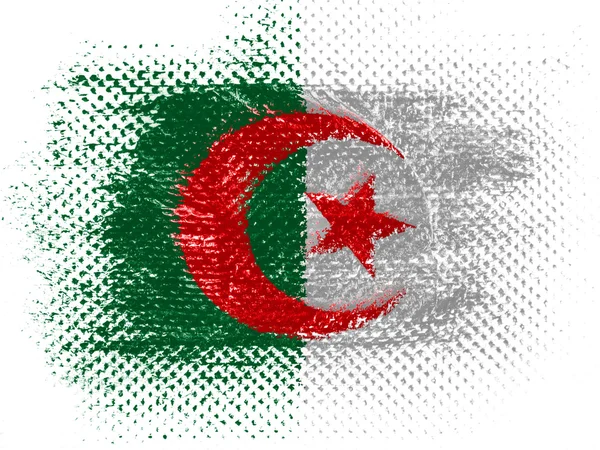 The Algerian flag — Stock Photo, Image