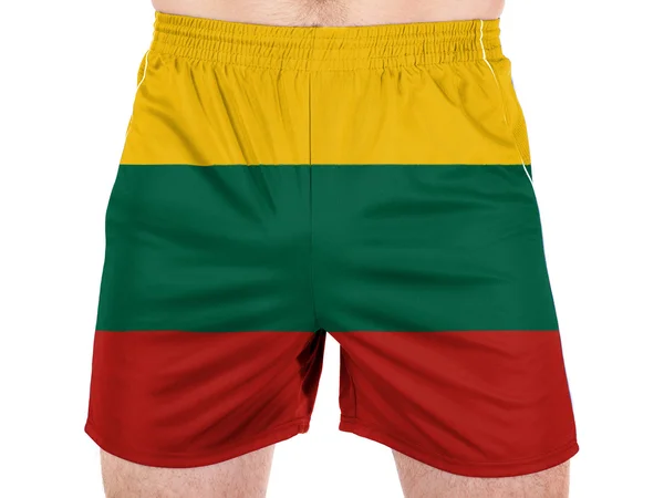 Den litauiska flaggan — Stockfoto