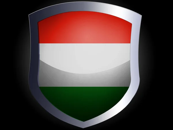 Den ungerska flaggan — Stockfoto