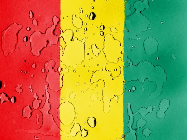 The Guinean flag — Stock Photo, Image