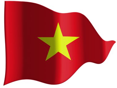 Vietnam bayrağı