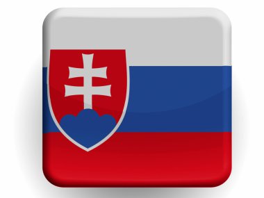 Slovakya bayrağı