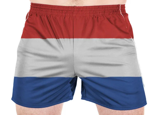 De vlag van Nederland — Stockfoto