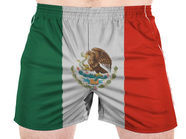 Den mexikanska flaggan — Stockfoto