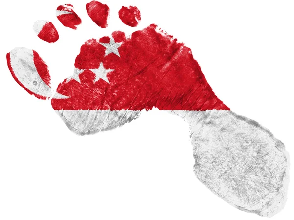 シンガポールの国旗 — ストック写真