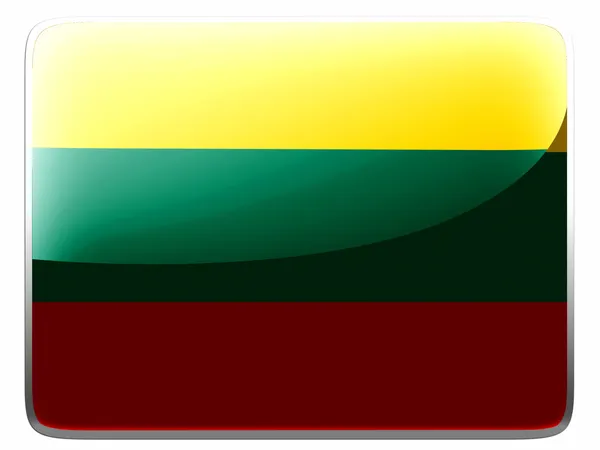 Det litauiske flag - Stock-foto
