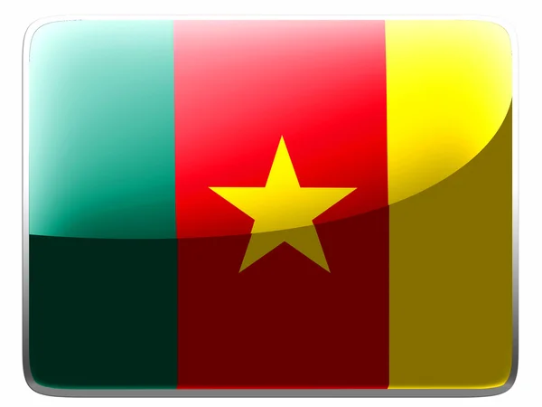 The Cameroonian flag — Stock Photo, Image