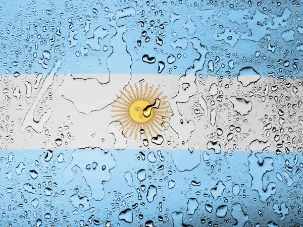 Det argentinske flag - Stock-foto