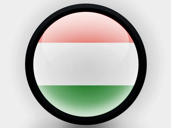 The Hungarian flag — Stock Photo, Image