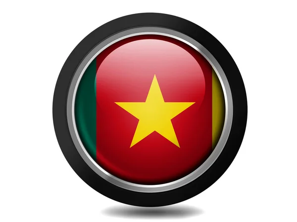 The Cameroonian flag — Stock Photo, Image