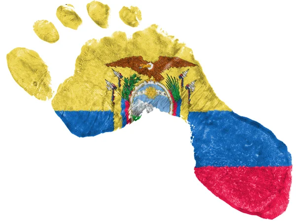 Ecuador flag painted in a shape of footprint — Stok fotoğraf