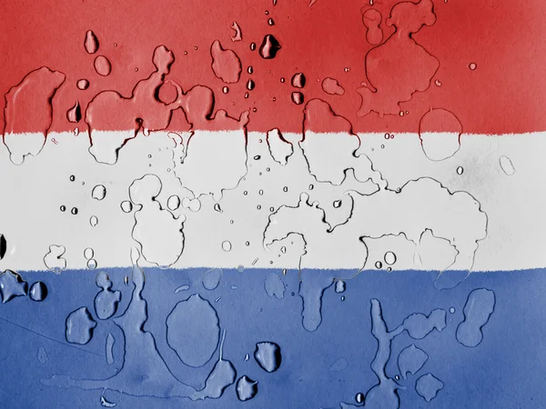 The Netherlands flag — Stock Photo, Image