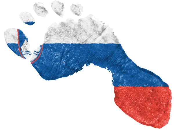 The Slovenia flag — Stock Photo, Image