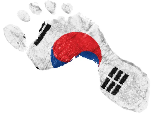 Le drapeau sud-coréen — Photo