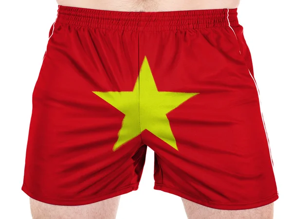 The Vietnamese flag — Stock Photo, Image