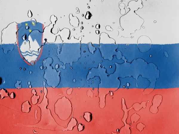 The Slovenia flag — Stock Photo, Image