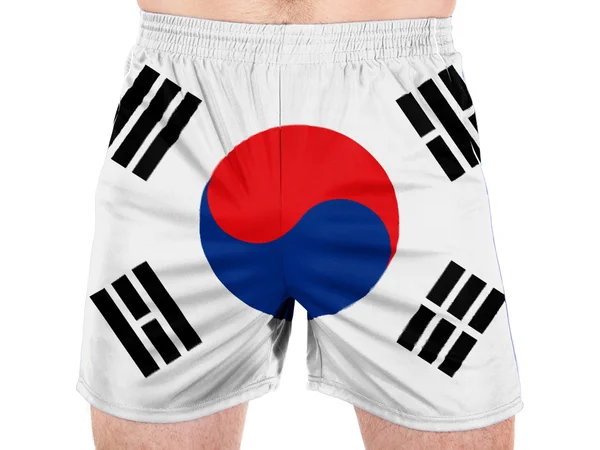 Sydkoreas flagga — Stockfoto