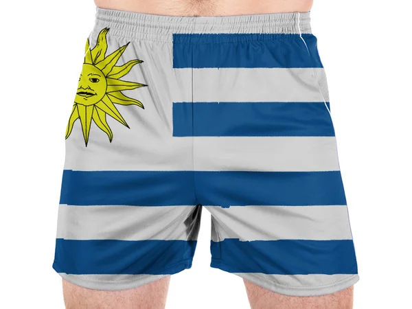 Bandiera Uruguay — Foto Stock
