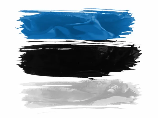 The Estonian flag — Stock Photo, Image