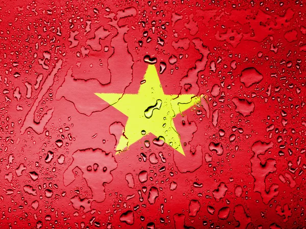The Vietnamese flag