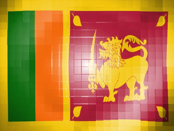 Bandera de Sri Lanka sobre superficie plástica ondulada — Foto de Stock