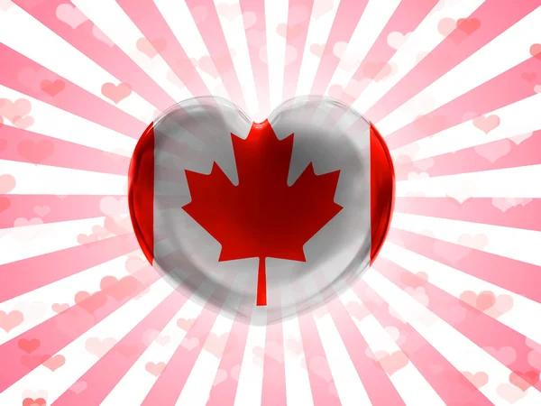 The Canadian flag — Stock Photo, Image