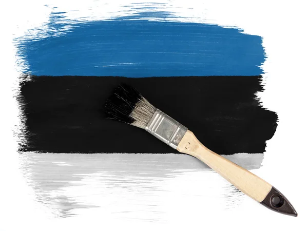Die estnische Flagge — Stockfoto