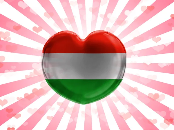 Den ungerska flaggan — Stockfoto