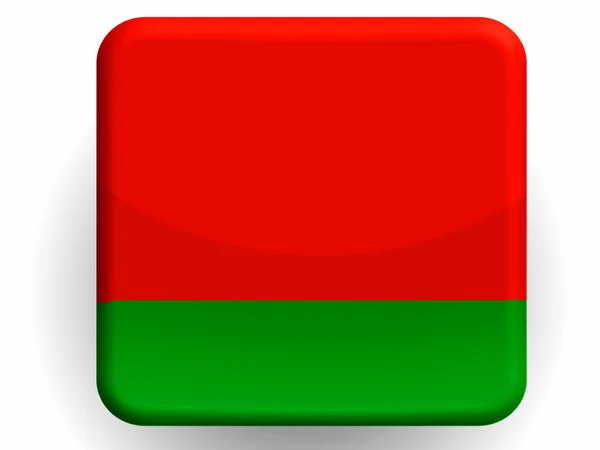 The Belarusian flag — Stock Photo, Image